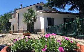 B&B Zac House