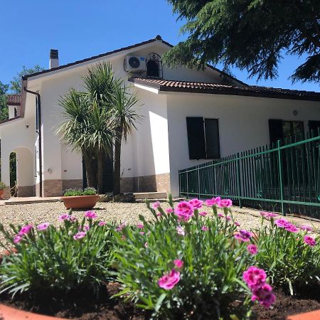 B&B Zac House Toirano Buitenkant foto